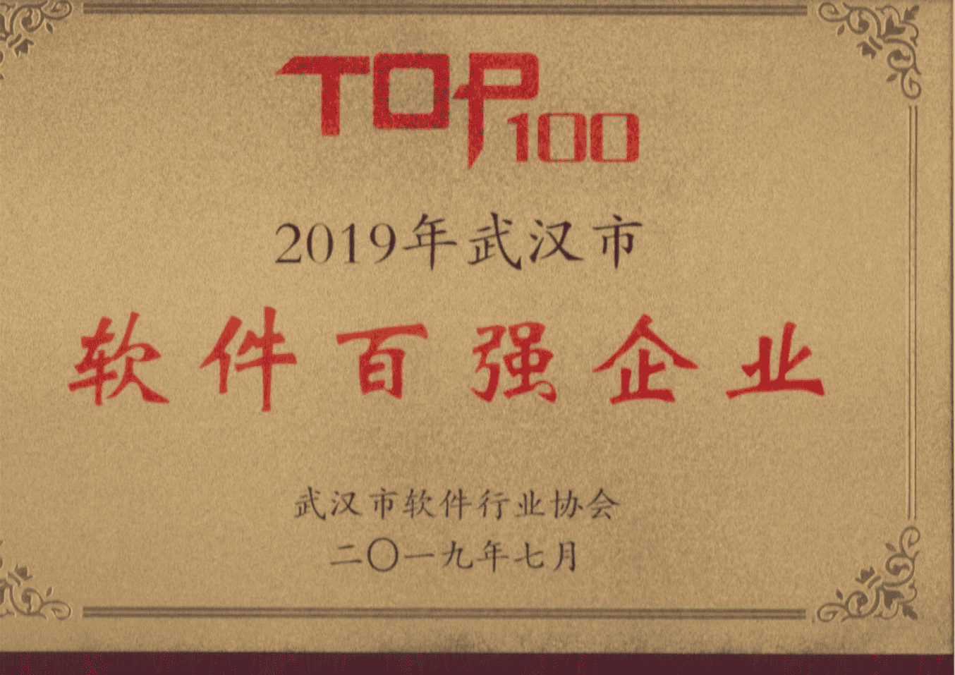 地大信息获“2019年武汉市软件百强企业”
